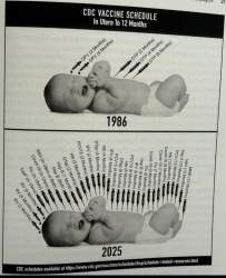 207461 B