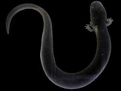 88834 B