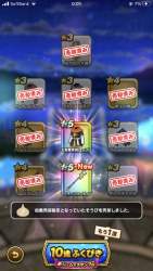 244259 B