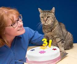 96949 B
