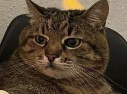 23864 B