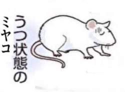 66889 B