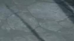 815877 B