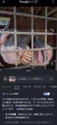 991831 B