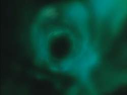 8132924 B