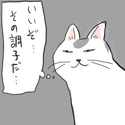 53596 B