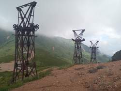 3114710 B