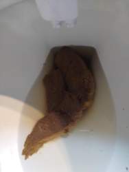 695381 B