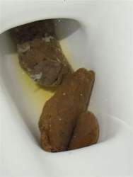 42960 B