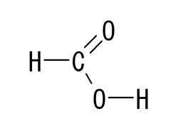 4196 B