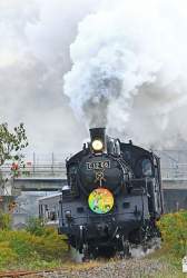 51345 B
