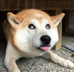 44632 B
