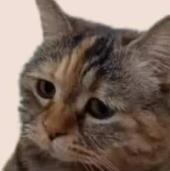 13384 B