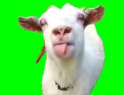 6241 B