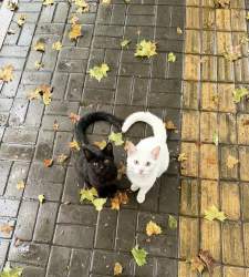 360395 B