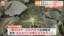 526626 B