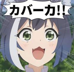 55638 B
