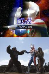 2544035 B