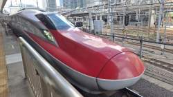 3632491 B