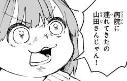 44262 B