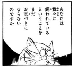 29514 B