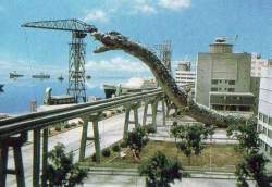 63056 B