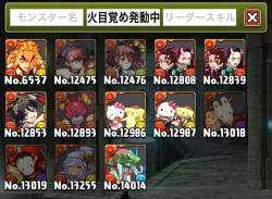 217491 B