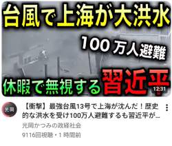 262398 B