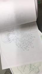 3253878 B