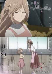 522293 B