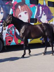 1431837 B