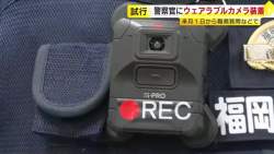 117338 B