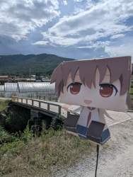 894753 B
