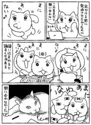 64598 B