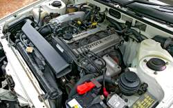 262570 B