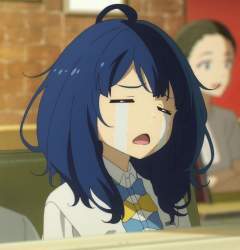 33519 B