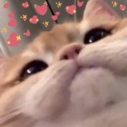 60785 B