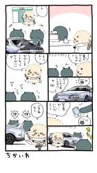 255559 B