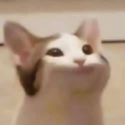77818 B