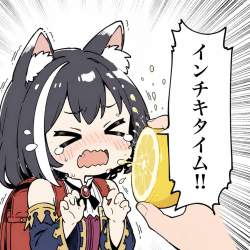 510529 B