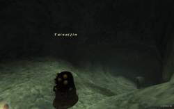 134204 B
