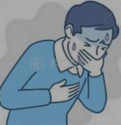 15355 B