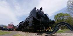 331516 B