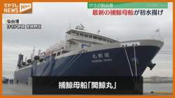 51036 B