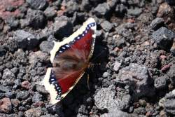 957657 B