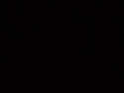 3381901 B