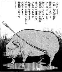 80491 B