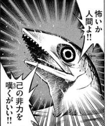 71633 B