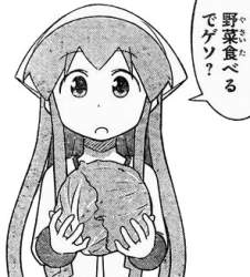 33602 B