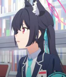 49523 B
